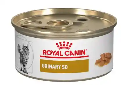 Royal Canin Alimento Húmedo Para Tracto Urinario Gato Adulto