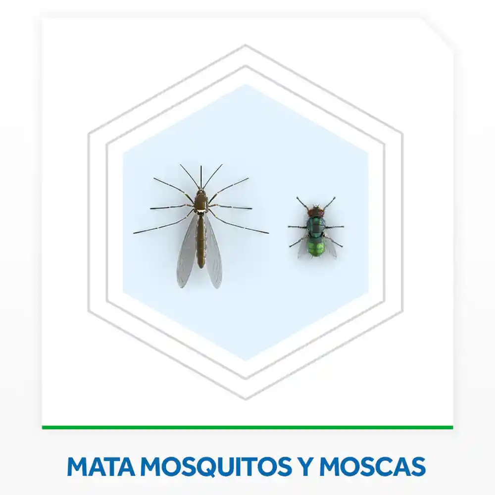 Raid Insecticida Mata Moscas Mosquitos