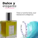 Loción Para Hombre Vetiver Zizanioides Miniso