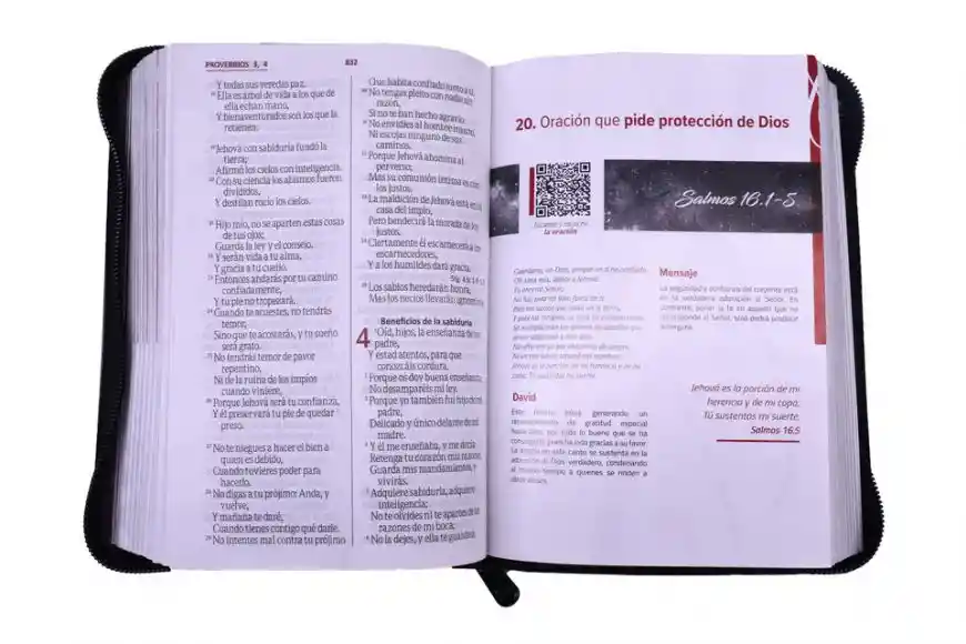 Biblia de Oraciones Gris/Negro - Sociedad Biblica Chilena