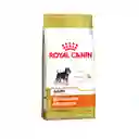 Royal Canin Alimento Para Perro Adulto Miniature Schnauzer Adult