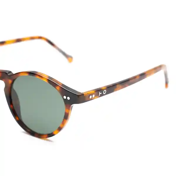 Lentes de Sol Clint Tortoise Inztinto