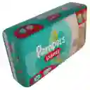 Pampers Pants Entrenadores Pants G X34