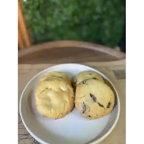 Galleton de Chocolate