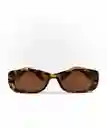 Lounge Lentes Rectangular Carey