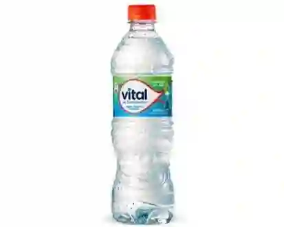 Agua Vital Sin Gas 600ml