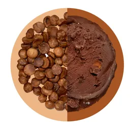 Chocolate Avellana