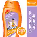 Limpiador de Baño Mr Músculo en Crema Lavanda 450ml