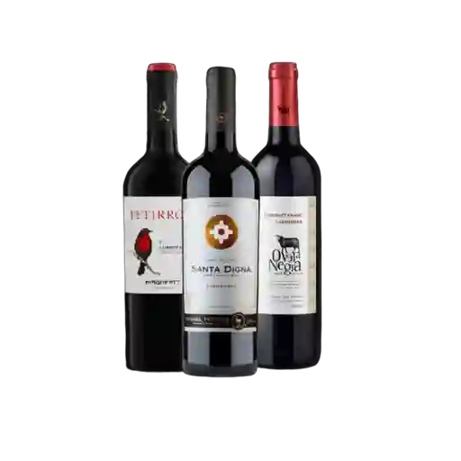Combo Vinos N°3