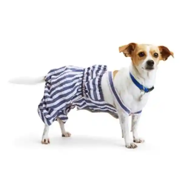 Youly Jumper Rayado Azul y Blanco Para Perro Chica