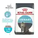 Royal Canin Alimento para Gato Urinary Care
