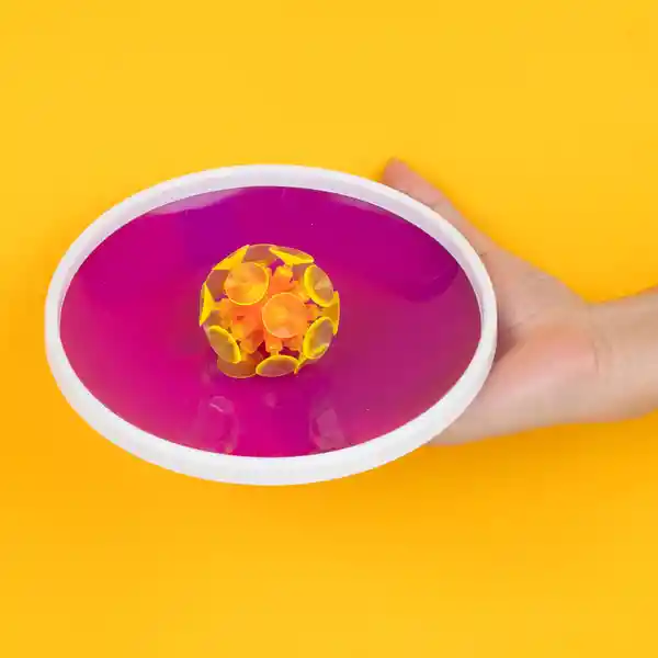 Juguete Lanzar/Atrapar Púrpura Deslumbrante 20x20x20 cm Miniso