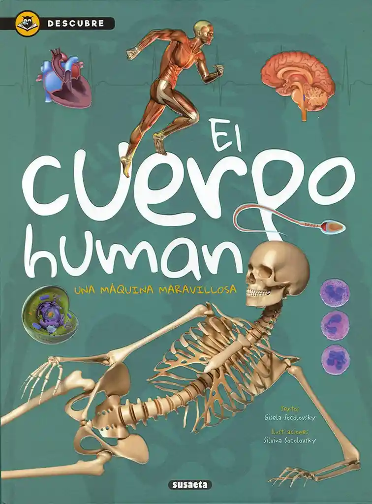 Descubre el Cuerpo Humano