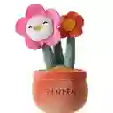 Peluche de Florero Miniso