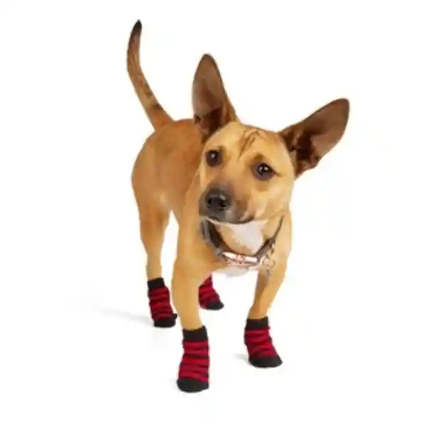 Youly Calcetines Negros Para Perro Grande/ X-Grande