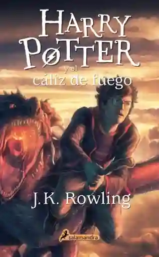 Harry Potter y el Cáliz de Fuego (4)