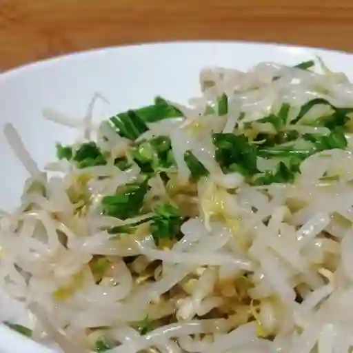 Diente de Dragón con Ave