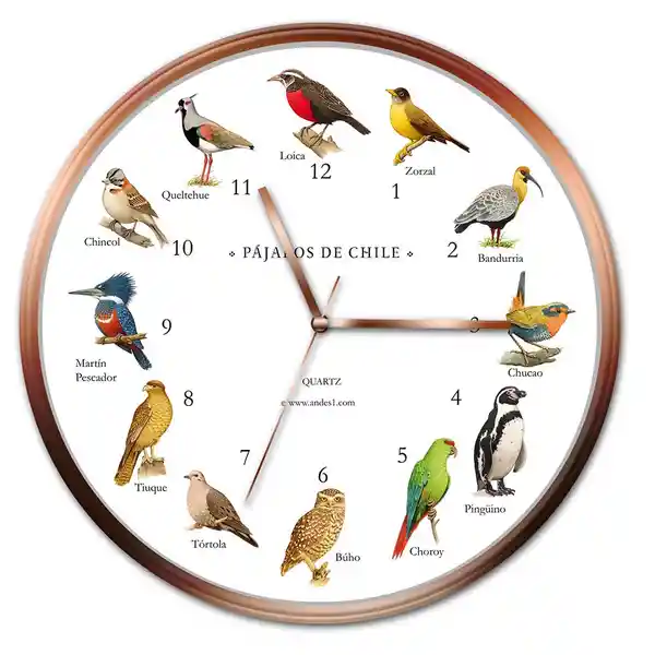 Reloj de Pared Pájaros de Chile