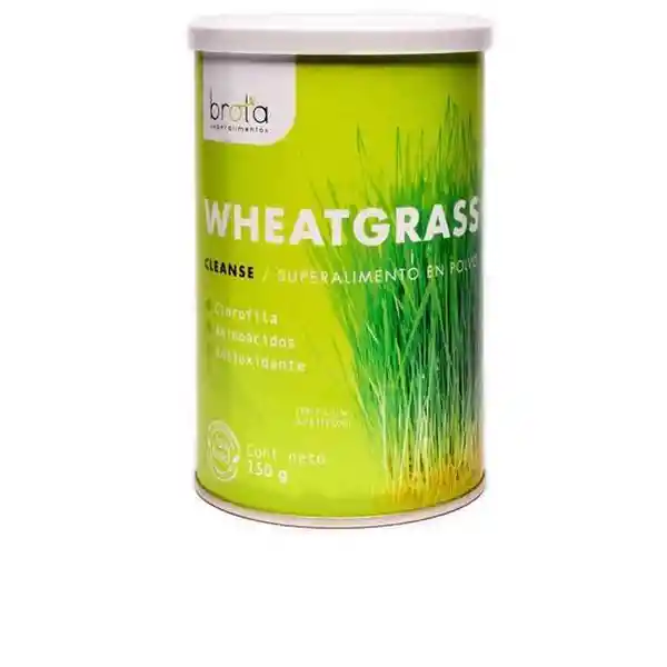 Brota Wheatgrass