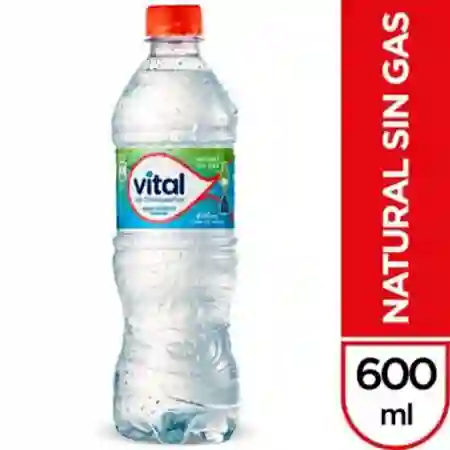 Vital Sin Gas 600 ml