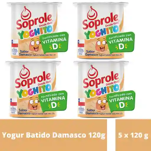 Pack 5 x Yogurt Batido Damasco