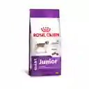 Royal Canin Alimento Para Perro Giant Junior