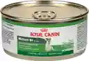 Royal Canin Alimento Para Perro Húmedo Adulto Adult 8+