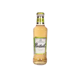 Britvic Bebida Ginger Ale 200 cc