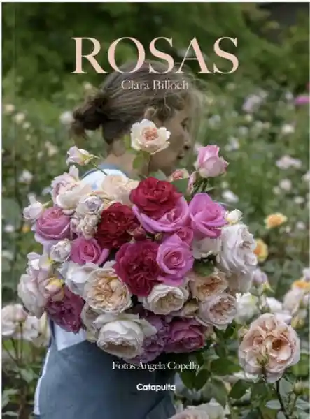 Rosas. Clara Billoch - Billoch Clara