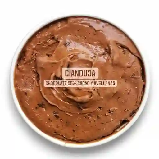 Gianduja 476ml M2