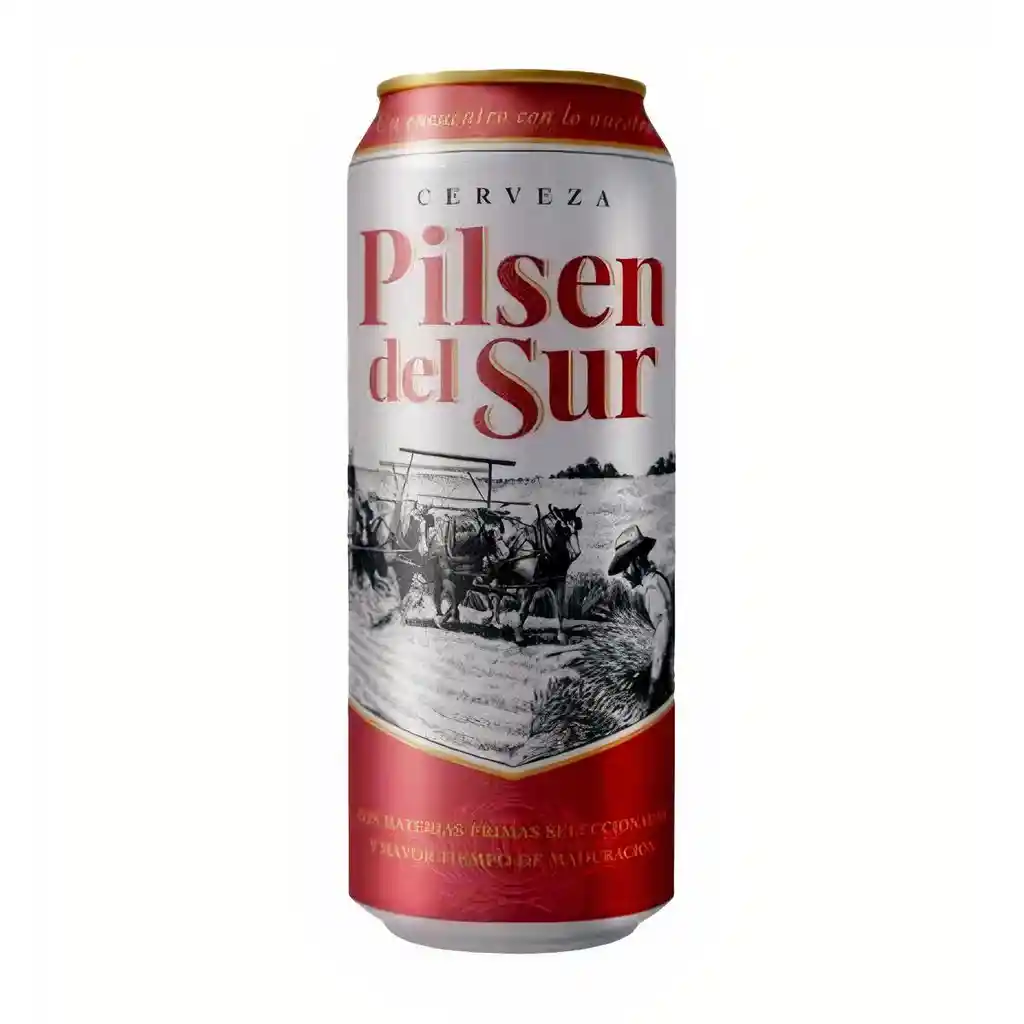 Pilsen Cerveza Del Sur 