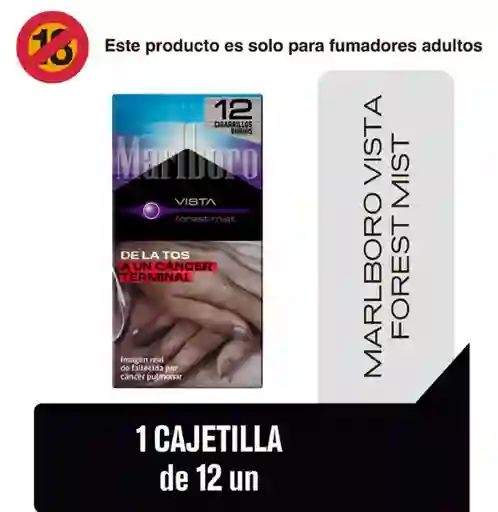 Marlboro Cigarro Forest Mist