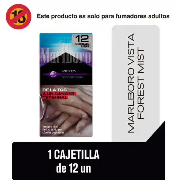 Marlboro Cigarro Forest Mist