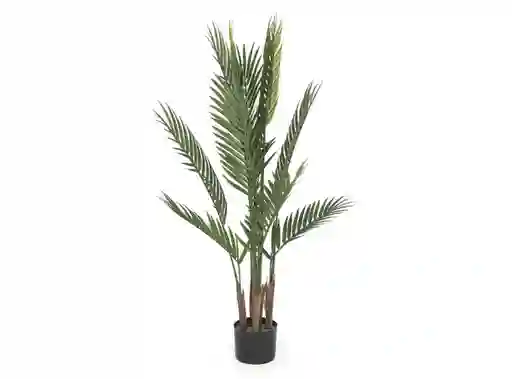 Planta Decorativa Palmera Ripley Home