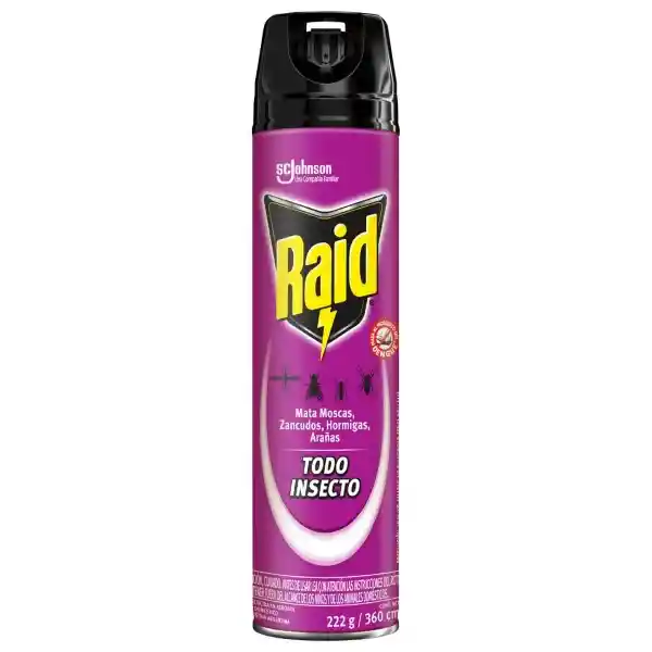 Insecticida Raid Mata Todo Insectos Aerosol 360 cc