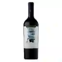 Santa Ema Vino Tinto Cuarto Elemento Cabernet Franc 14