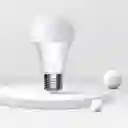 Foco mi Smart Led Bulb Cool White Xiaomi