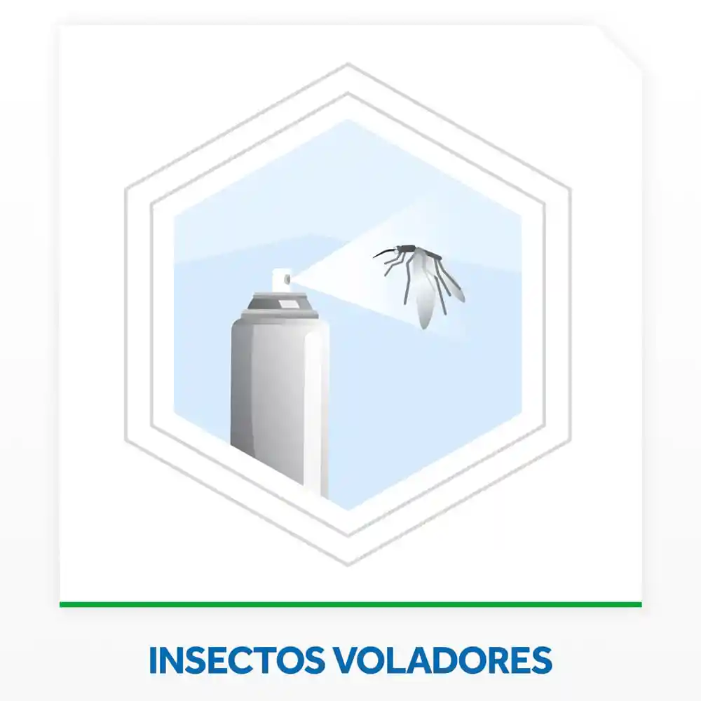 Raid Insecticida Mata Moscas Mosquitos