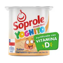 Soprole Yoghito Yoghurt Batido Sabor a Damasco