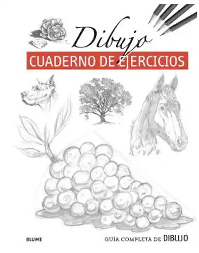 Guía Completa de Dibujo. Dibujo. Cuad Ejercicios