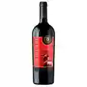 Toreto Vino Tinto Cabernet Sauvignon Reserva