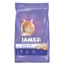 Iams Alimento Seco para Gatito Sabor a Pollo