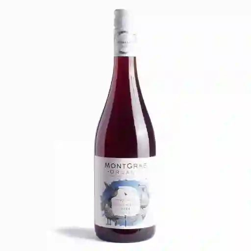 Montgras Vino Tinto Pinot Noir Organic