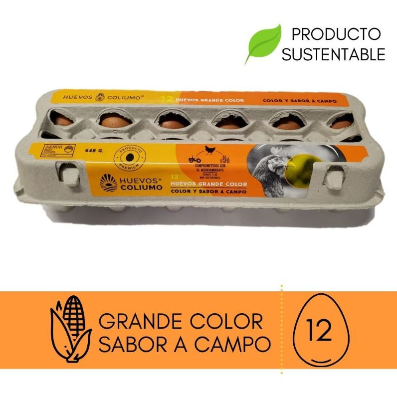 Coliumo Huevo Grande de Color Rappi