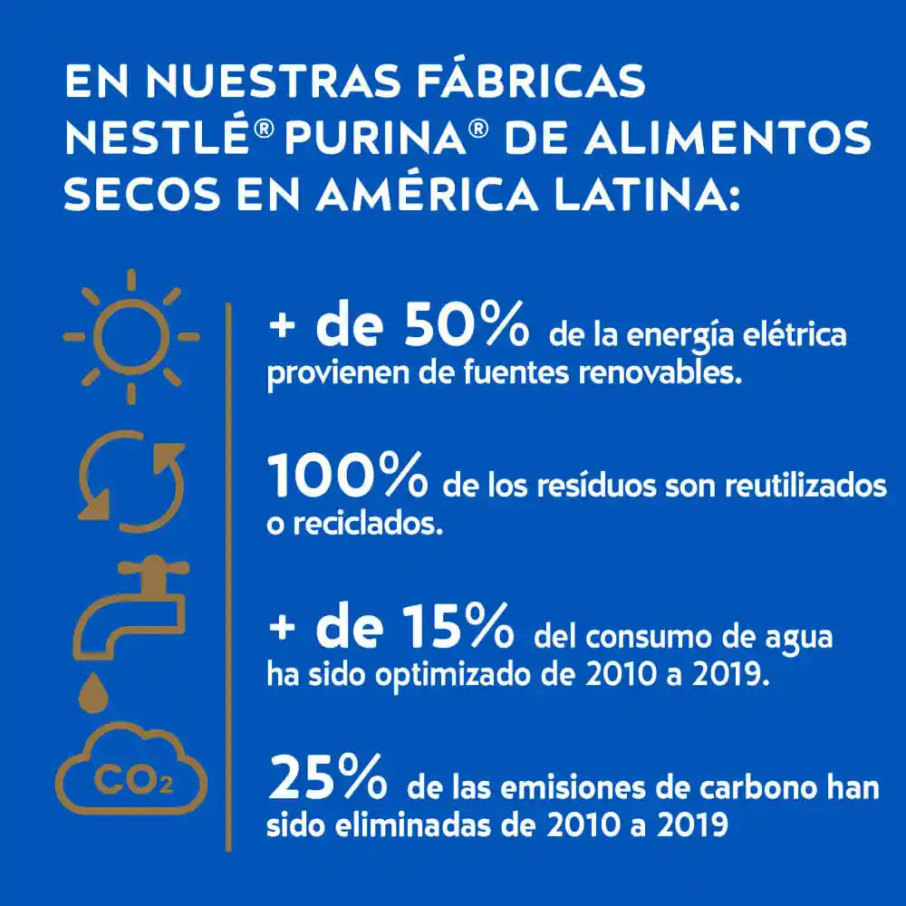 Cat Chow Alimento Gato Gatitos