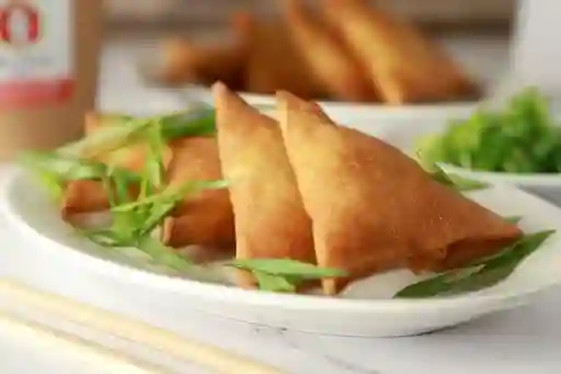 Empanadas de Mechada y Queso