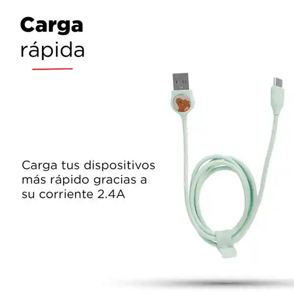 Cable de Datos Usb a Usb C we Bare Bears Pardo Verde 1 M Miniso