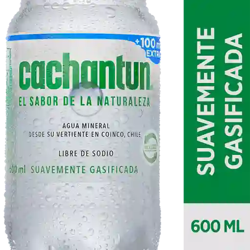 2 x Agua Mineral Lev/Gas Cachantun Pet 600Ml