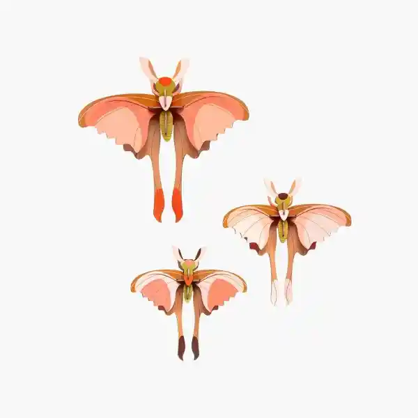 Set de 3 Comet Butterflies