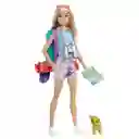 Barbie Muñeca Malibu Dha Día de Campamento